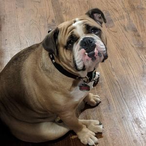 Meet your Posher, Daniel